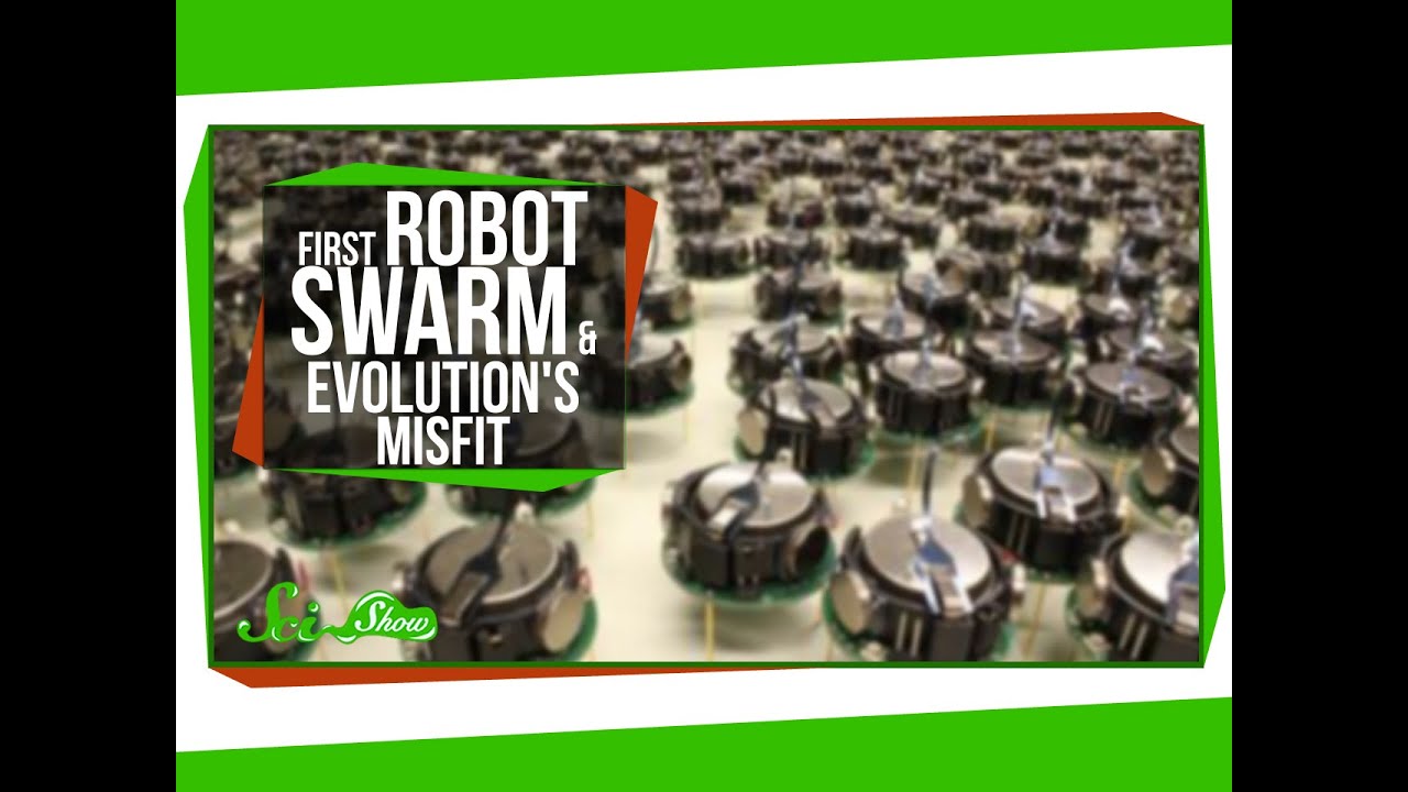 swarm robotics ppt download for free